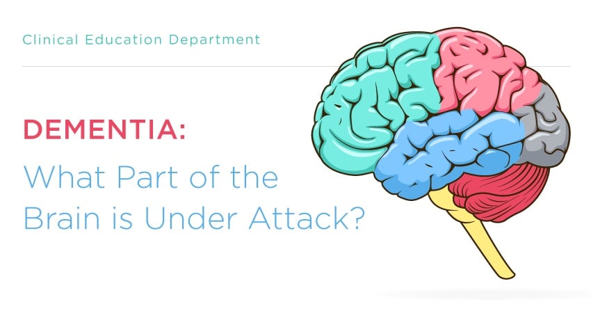 Dementia: What Part Of The Brain Is Under Attack?